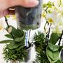 Kolibri Home - Einlage mit Wasserreservoir fr Orchideenschale - Bewsserungssystem fr Orchideen - Inlay 1x12 + 2x9 - Field Bouquet + 3x watergeeflonten