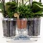 Kolibri Home - Einlage mit Wasserreservoir fr Orchideenschale - Bewsserungssystem fr Orchideen - Inlay 1x12 + 2x9 - Field Bouquet + 3x watergeeflonten