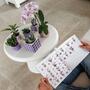 Kolibri Home | Candy Dekotopf aus Keramik in Lila - 6cm fr Ihre frhliche Raumgestaltung