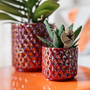 Kolibri Home | Diamond Pearl Dekotopf - Rot - 6 cm - Ein Hauch von Luxus fr Ihr Zuhause!