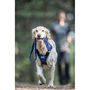 Julius K9 IDC Longwalk Hundegeschirr, blau-grau