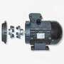 Motor 7,5 KW 230/400V RVJ Hohlwelle 24 