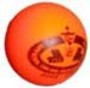 Offizieller ISHD Ball von Canpro 