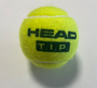 Head Tennisball gr�n TIP 1 