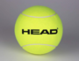 HEAD Giant Inflatable Ball 