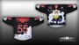 Eishockeytrikots Metzen Profiqualit�t f�r nur EUR 37,95 pro Trikot!