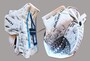 Bauer Supreme Mach Goalie Catcher & Blocker PRO RETURN WILD WINGS  >Stock- und Fanghand Full Right