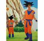 Goku Kost�m Dragon Ball Z f�r Herren