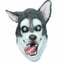 Hunde Maske crazy Husky f�r Erwachsene Party-Zubeh�r 