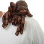 Spinne auf Schulter Partyspa� Kost�m-Zubeh�r f�r Erwachsene