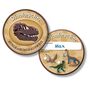 Ausweis Dinoforscher Kindergeburtstag 6 St�ck T-Rex Dinosaurier Party-Zubeh�r 