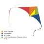 Drache Einleiner bunt Delta Mini  2mm Fiberglas 50x25 cm Flugdrache