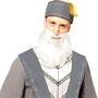 Dumbledore Kost�m Harry Potters Schulleiter f�r Herren
