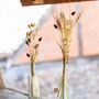 Getrocknetes Phalaris Kanariengras 60-64 cm lang Deko Hochzeit Blumen-Deko