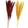 Getrocknetes Pampasgras 6 St�ck 65-75 cm lang Trockenblumen Deko