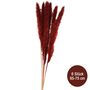Getrocknetes Pampasgras 6 St�ck 65-75 cm lang Trockenblumen Deko