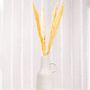 Getrocknetes Pampasgras 6 St�ck 65-75 cm lang Trockenblumen Deko