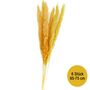 Getrocknetes Pampasgras 6 St�ck 65-75 cm lang Trockenblumen Deko
