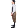Knickerbocker Hosen Braun gestreift 20er Jahre f�r Herren