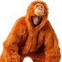 Affen Kost�m Orang Utan Koko Pl�schkost�m f�r Erwachsene