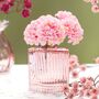 Mini Glasvasen-Set 6er Rosa Gr�n Klar Tisch-Deko Hochzeit Geburtstag
