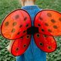Marienk�fer-Set Kost�m Fl�gel und Haarreif f�r Kinder