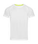 Stedman Herren Active Dry T-Shirt Bird-Eyelet-Mesh 140 Raglan Men ST8410 NEU