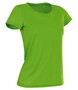 Stedman Damen Active Dry Fitness T-Shirt S-XL Cotton Touch Women ST8700 NEU