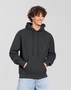 Iconic 250 Hooded Sweat