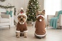 Dog Reindeer Hoodie