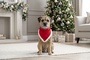 Dog Christmas Bandana