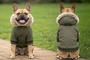 Parka Jacket