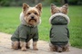 Parka Jacket