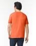 5er Pack Softstyle Adult T-Shirt