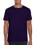 10er Pack Softstyle Adult T-Shirt