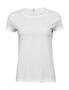 Tee Jays Damen Roll-Up T-Shirt S bis 2XL Baumwolle Single Jersey Tee 5063 NEU