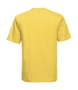 10er Pack Classic T