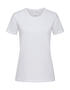 Stedman Damen Comfort-T Baumwolle Single Jersey T-Shirt koTex S-2XL ST2160 NEU