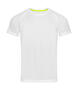 10er Pack Active 140 Raglan Men