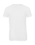 2er Pack V Triblend/men T-Shirt