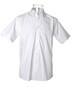 Kustom Kit Herren Workforce Hemd Shirt Button-Down-Kragen Easy Iron KK100 NEU