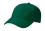 10er Pack Pro-Style Heavy Brushed Cotton Cap