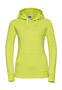 3er Pack Ladies Authentic Hooded Sweat