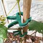 20- 100 Pflanzenclips Pflanzenklammern Rankhilfe Pflanzen Tomaten Clips S - XL