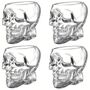 4er Set Totenkopf Shotglser Schdel Schnaps Stamper Vodkaglas Schnapsglas 50 ml