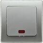 DELPHI Kontroll-Schalter mit L�mpchen 250V~/ 10A, inkl. Rahmen, UP, silber