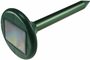 Maulwurf- + W�hlmaus-Schreck Premium Solar, Schall + Vibration, bis zu 900m�