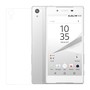 Sony Xperia Z5 Panzer Schutz Glas R�ckseite Back Hinten Schutzglas Echtglas Transparent