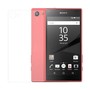 Sony Xperia Z5 Compact Panzer Schutz Glas R�ckseite Back Hinten Schutzglas Echtglas Transparent