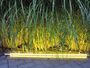 9647 LED Leuchtstab 9 Watt Gelb 63 cm Kunststoff LED R�hre IP44 Aussen